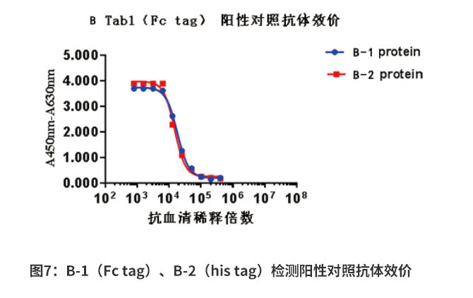 B-1（Fc tag）、B-2（his tag）抗原陽性對照抗體效價檢測結(jié)果