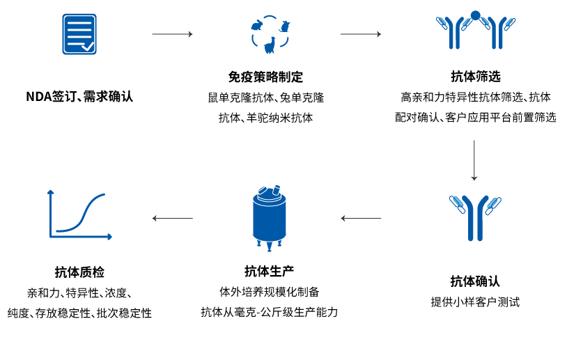 配對抗體定制開發(fā)流程