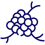 腫瘤標(biāo)志物